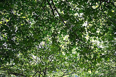 《蜘蛛侠》多人游戏概念图 好多女蜘蛛侠登场亮相